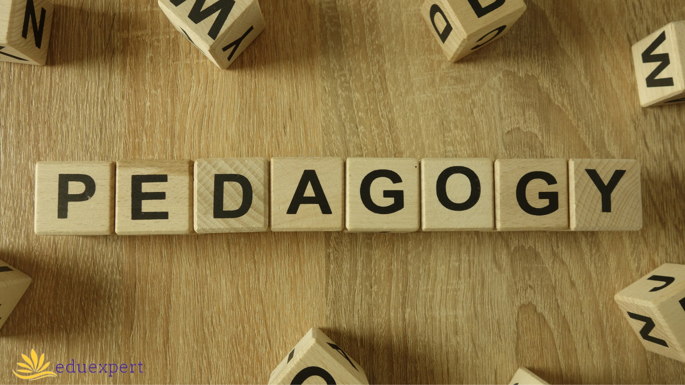 What does Pedagogy mean?