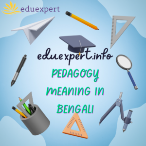 pedagogy meaning in Bengali